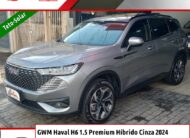 GWM Haval H6 1.5 Premium Híbrido Cinza 2024